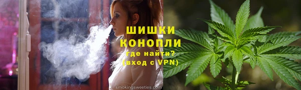 МДПВ Бородино
