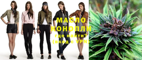 МДПВ Бородино