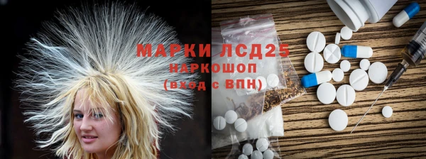 МДПВ Бородино