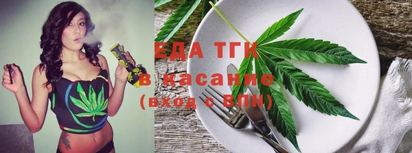 МДПВ Бородино