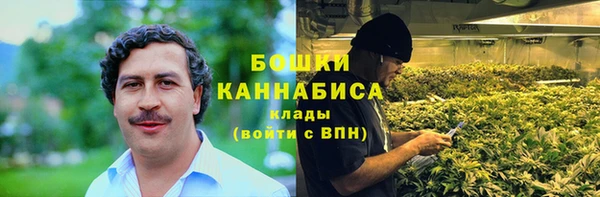 МДПВ Бородино