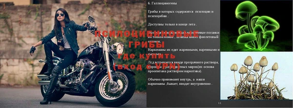 МДПВ Бородино