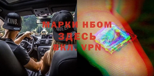 МДПВ Бородино