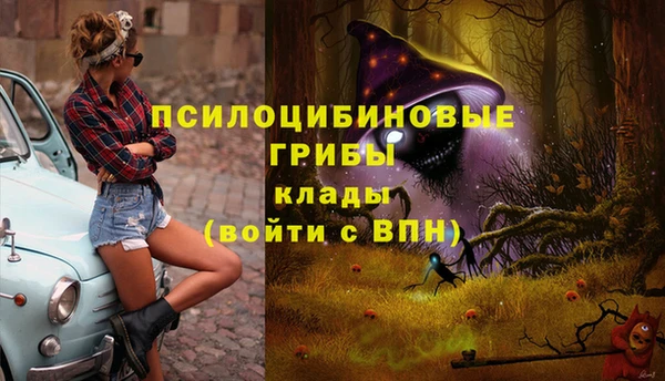 МДПВ Бородино